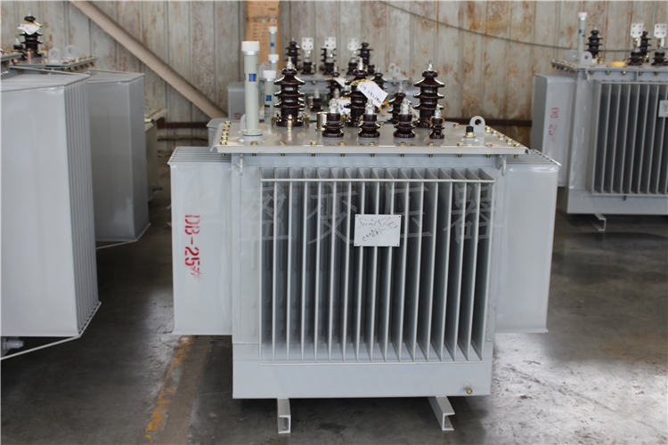 成都S20-800kVA/10kV/0.4kV变压器